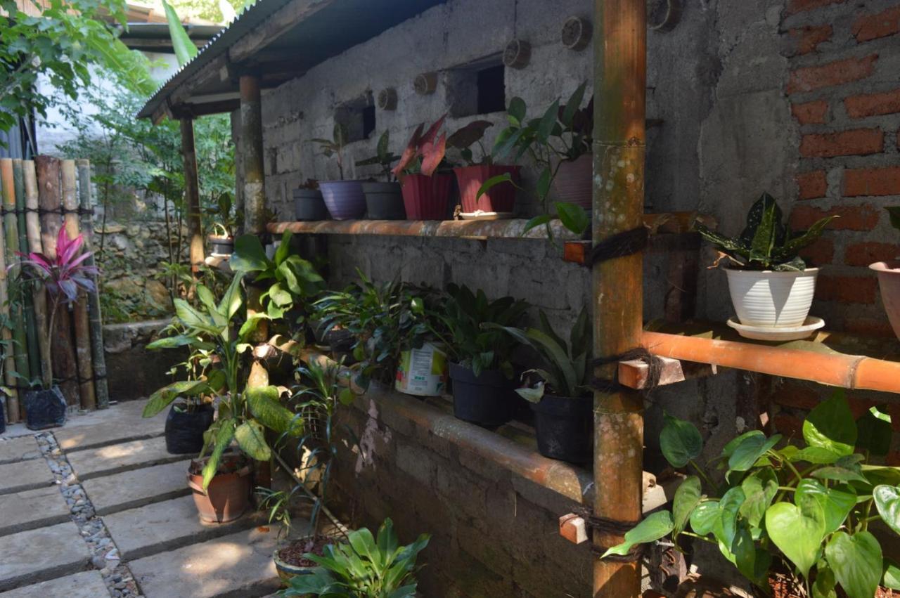 Labuan Bajo Mahoni Guesthouse Kültér fotó